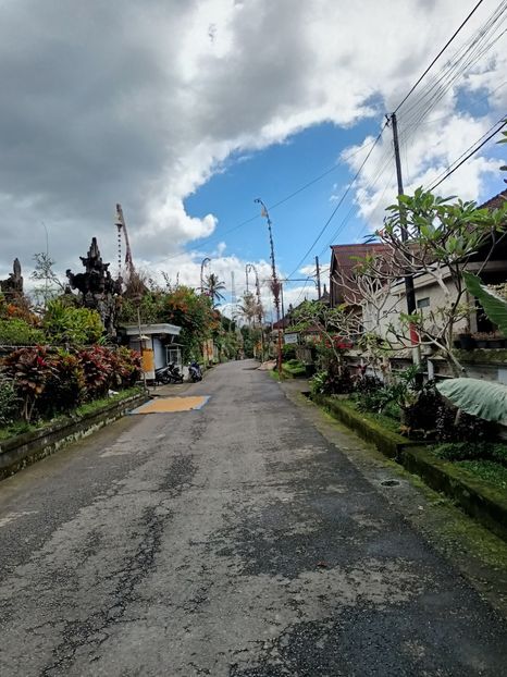 IMG20250525052812 - 7 Ubud