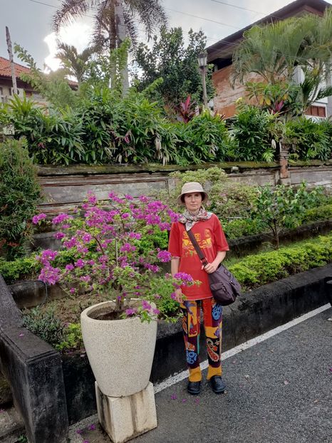 IMG20250525113139 - 8 Ubud 2
