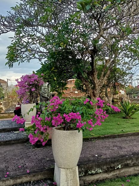 IMG20250525120439 - 8 Ubud 2
