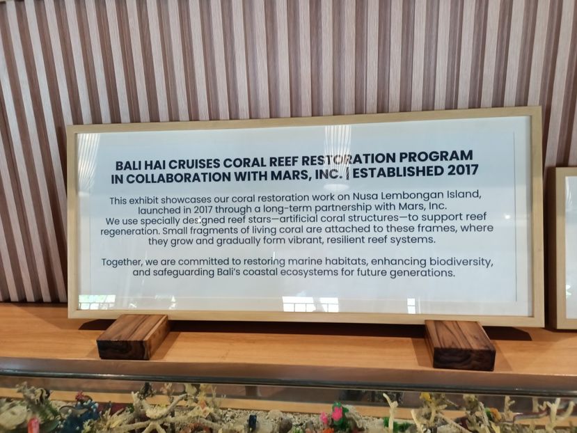 IMG20250526031416 - 9 Insula Lembongan