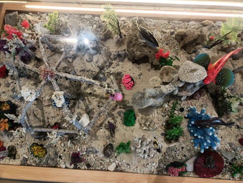 IMG20250526031428 - 9 Insula Lembongan