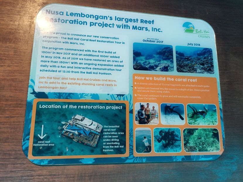 IMG20250526055455 - 9 Insula Lembongan