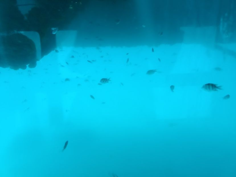 IMG20250526055521 - 9 Insula Lembongan