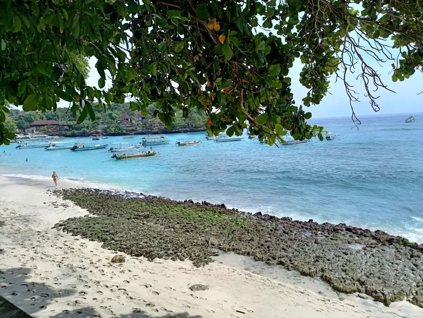 IMG20250526080002 - 9 Insula Lembongan