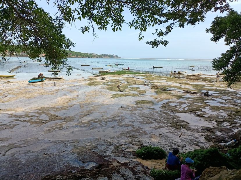 IMG20250526090913 - 9 Insula Lembongan