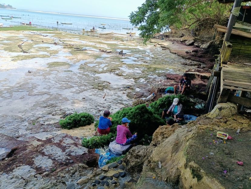 IMG20250526090923 - 9 Insula Lembongan
