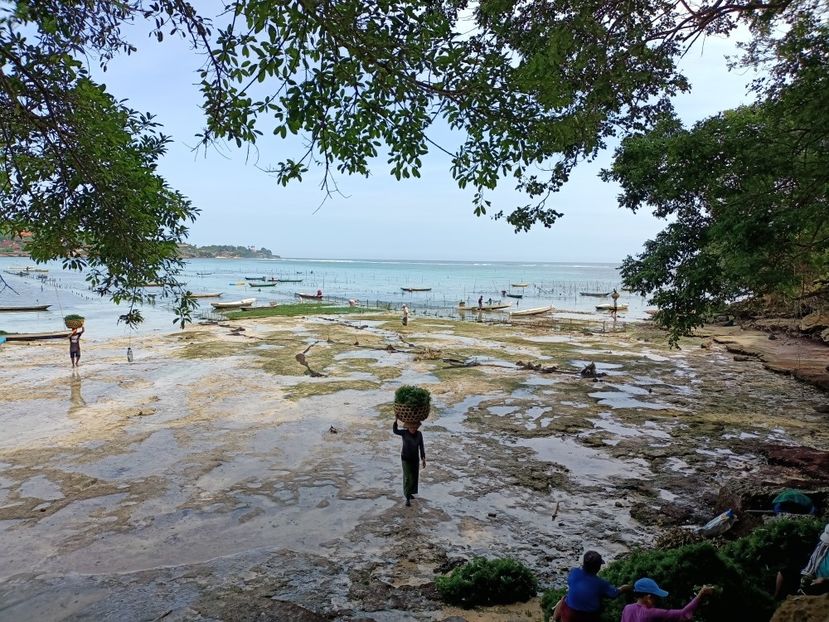 IMG20250526091050 - 9 Insula Lembongan