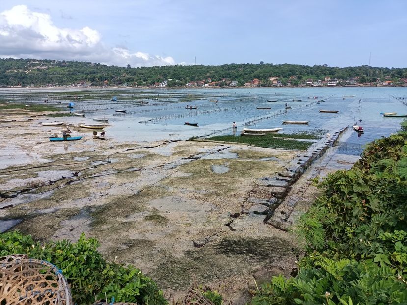 IMG20250526091622 - 9 Insula Lembongan