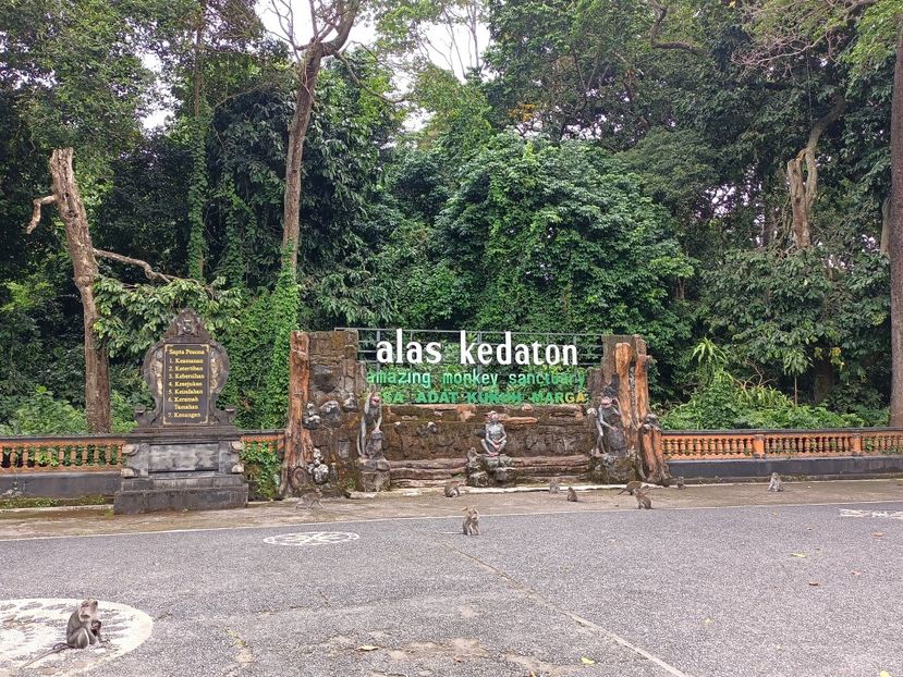 IMG20250527103441 - 10 Turul Mengwi