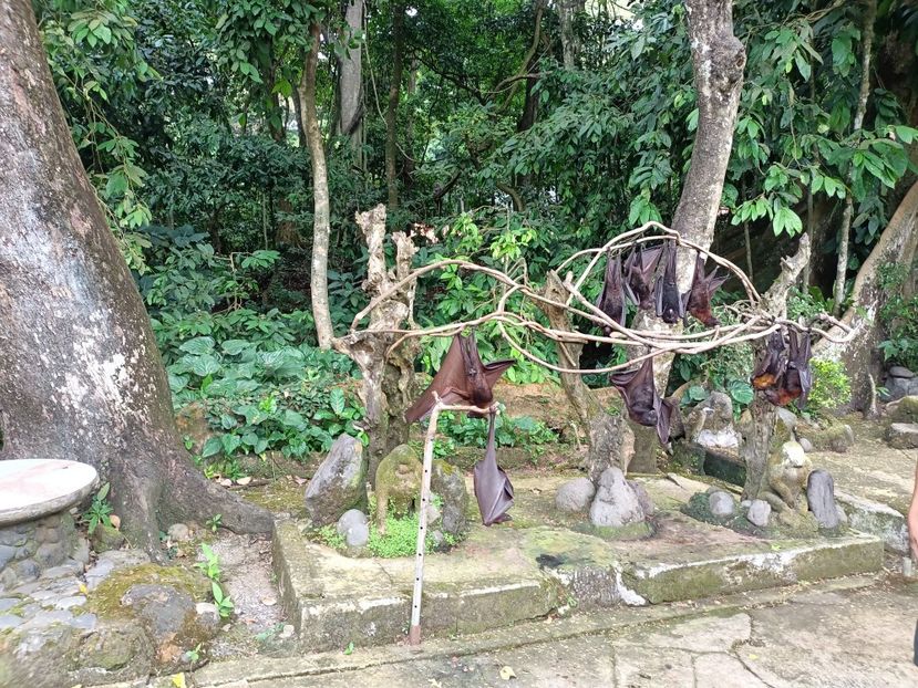 IMG20250527104042 - 10 Turul Mengwi