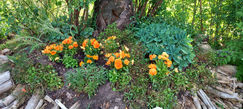  - 2025 - 01 - Primavara