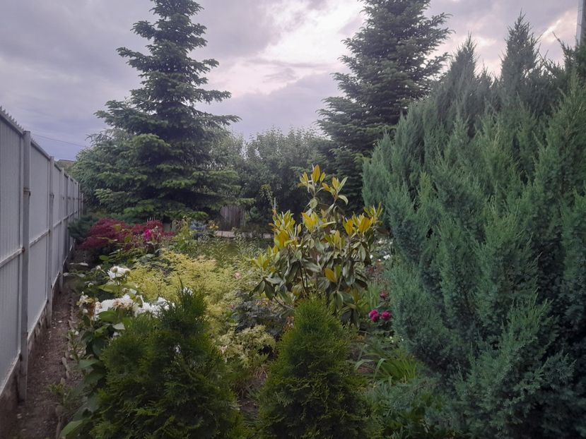  - 1111 Bucurii florale 2025