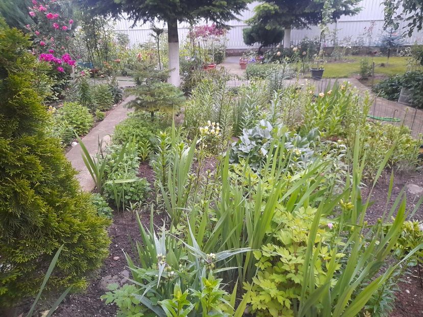 - 1111 Bucurii florale 2025