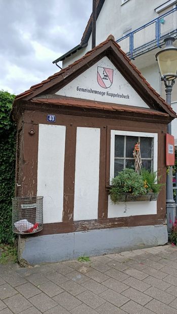 Img.2025.05.26 - Zu-Cele mai frumoase grădini