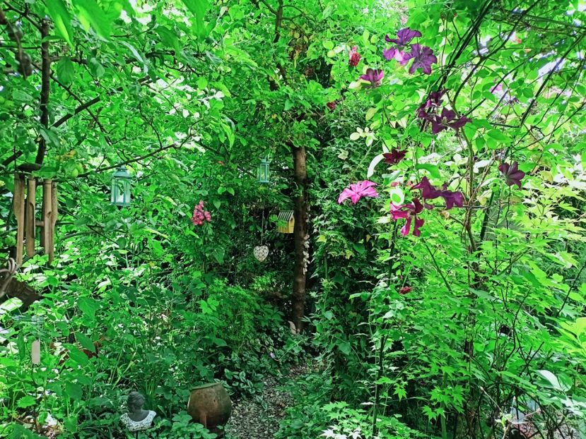  - Grădina 2025 continuare 3