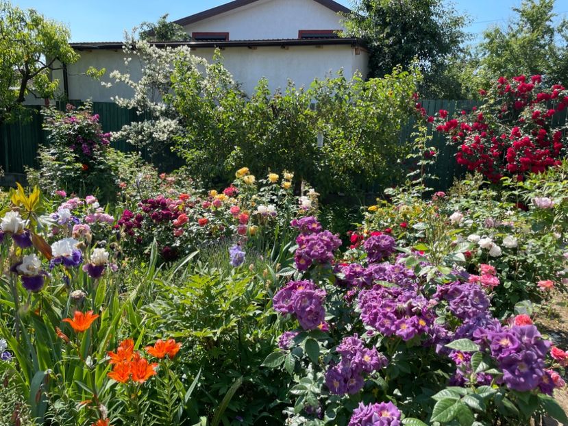  - 0005 - Gradina - 2025