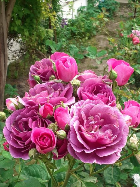 20250604_190221(0) - Minerva 2021 - 2022