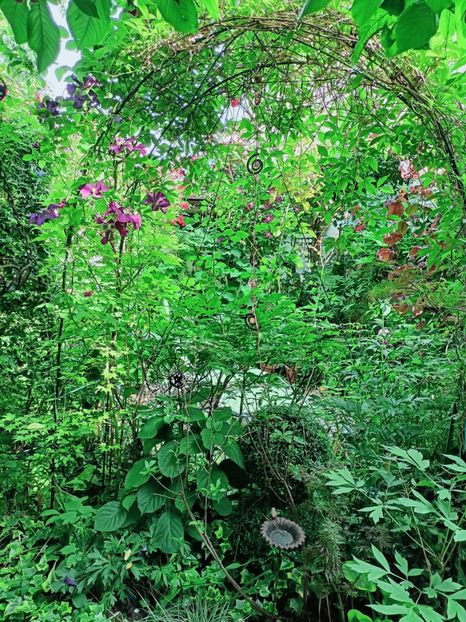  - Grădina 2025 continuare 3