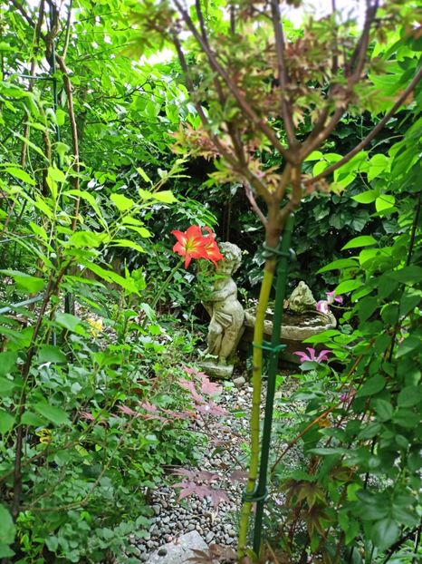  - Grădina 2025 continuare 3