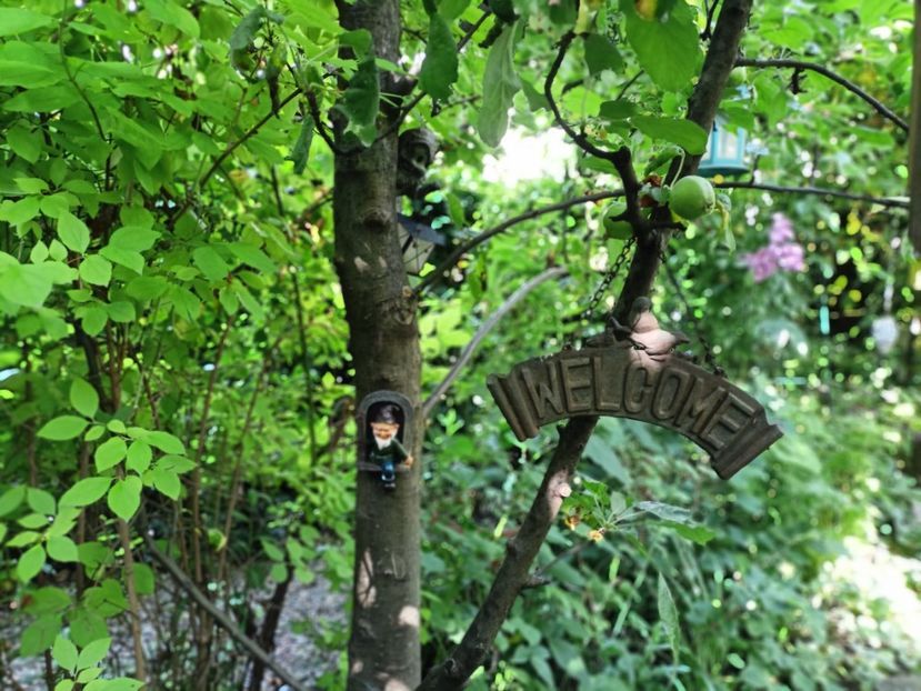  - Grădina 2025 continuare 3