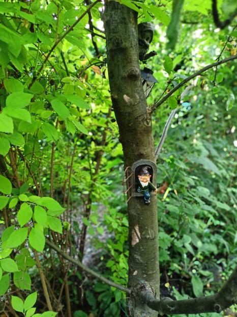  - Grădina 2025 continuare 3