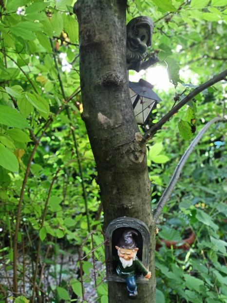  - Grădina 2025 continuare 3