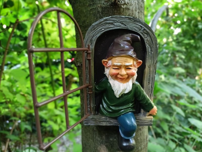  - Grădina 2025 continuare 3