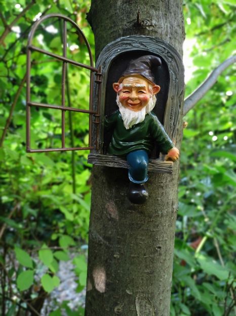  - Grădina 2025 continuare 3