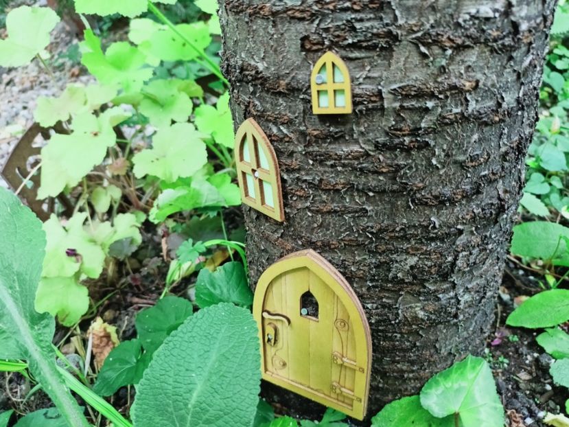  - Grădina 2025 continuare 3