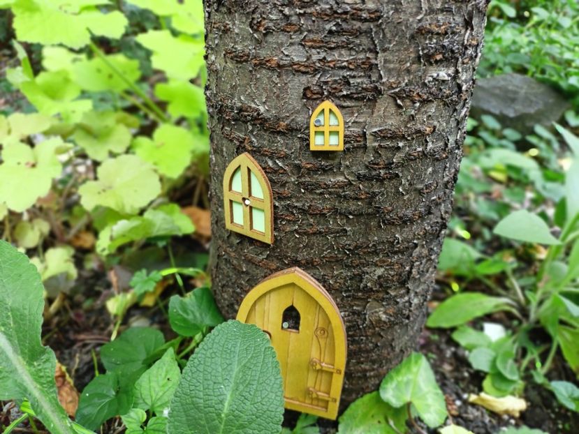  - Grădina 2025 continuare 3