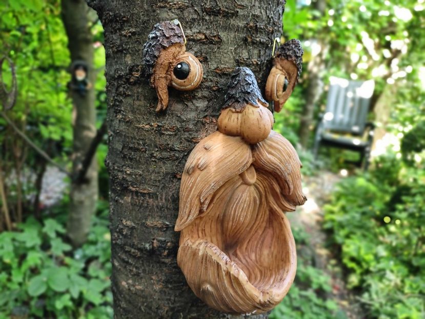  - Grădina 2025 continuare 3