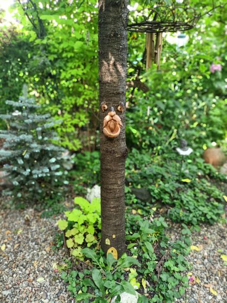  - Grădina 2025 continuare 3