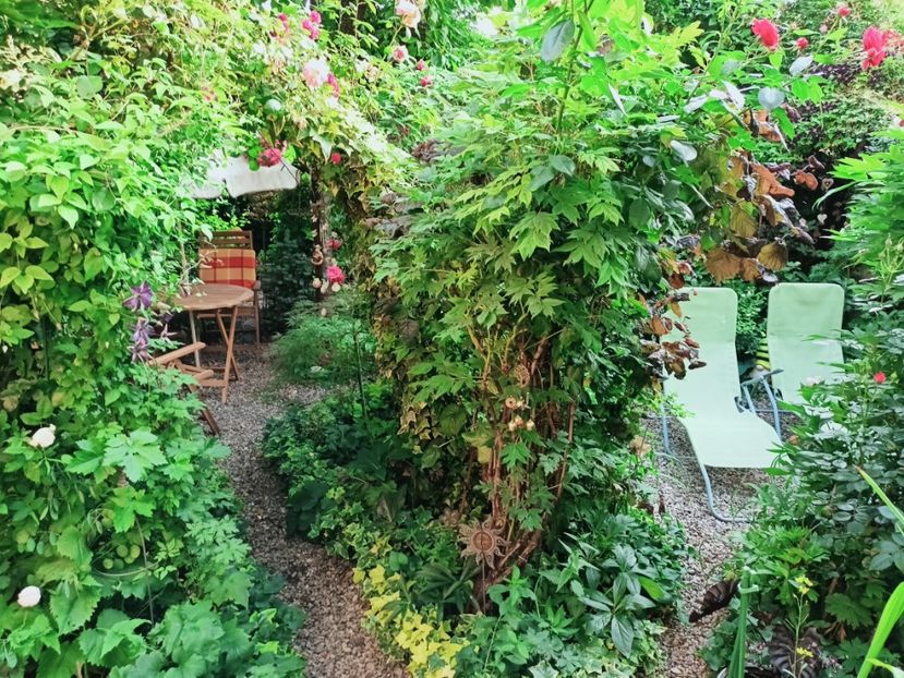 07.06.2025 - Grădina 2025 continuare 3