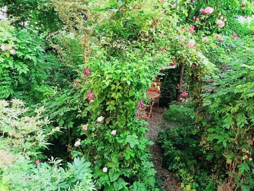  - Grădina 2025 continuare 3