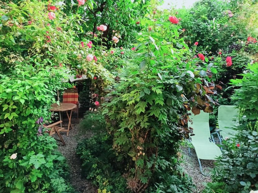  - Grădina 2025 continuare 3