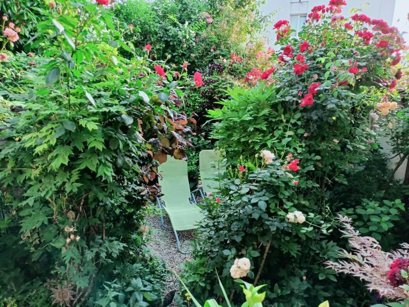  - Grădina 2025 continuare 3