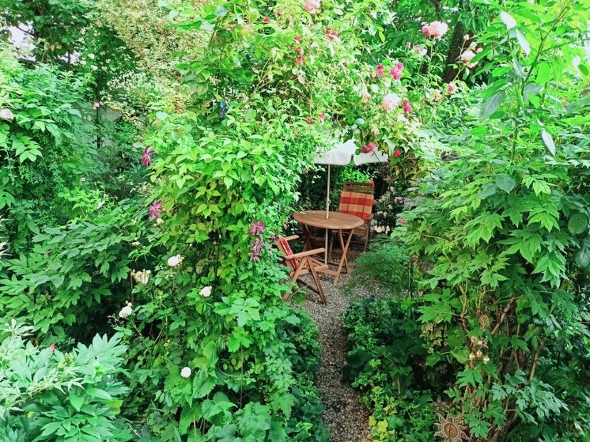  - Grădina 2025 continuare 3