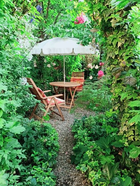  - Grădina 2025 continuare 3