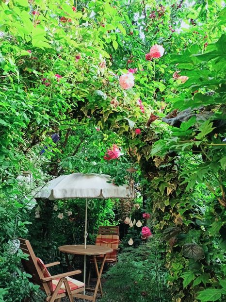  - Grădina 2025 continuare 3