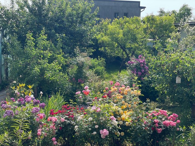  - 0005 - Gradina - 2025