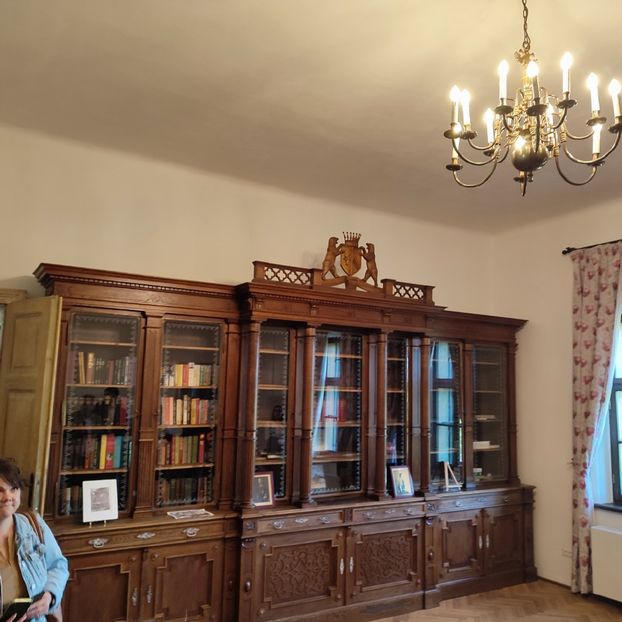 interior 10 domeniul styrcea - 2025