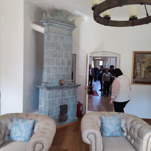 interior 3 domeniul styrcea - 2025