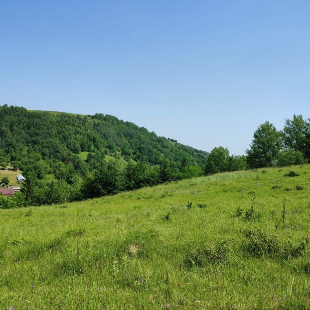 valea arini - 2025