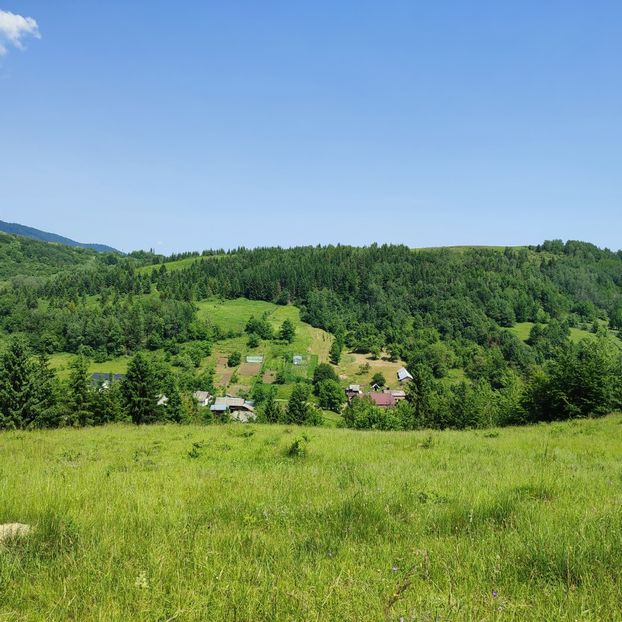 valea arini 2025 - 2025