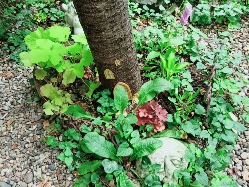  - Grădina 2025 continuare 3