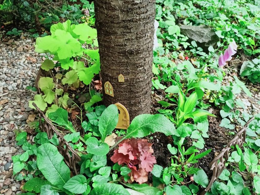  - Grădina 2025 continuare 3