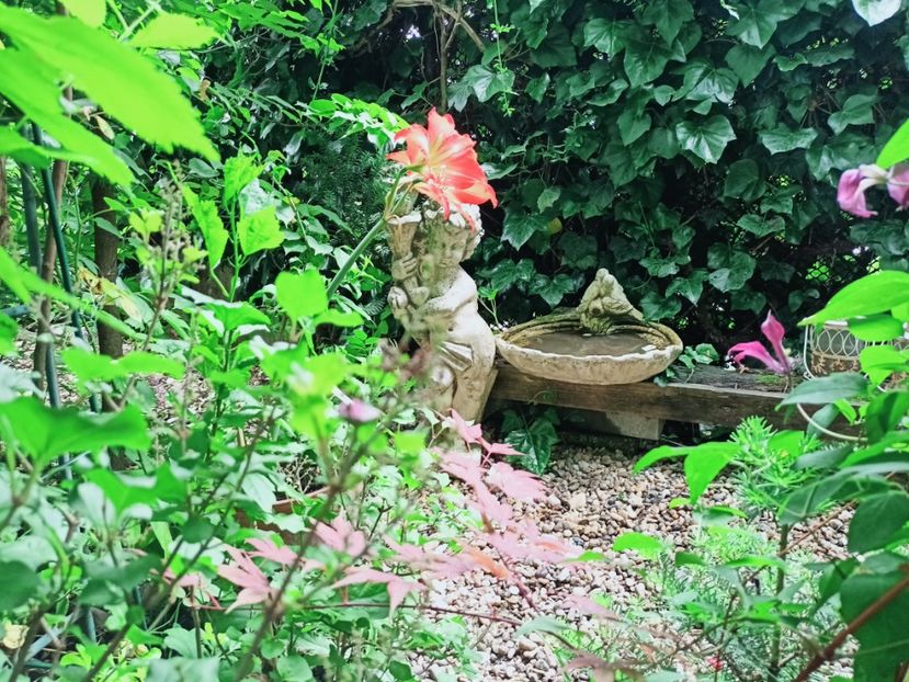  - Grădina 2025 continuare 3