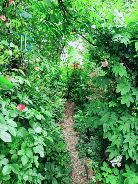  - Grădina 2025 continuare 3