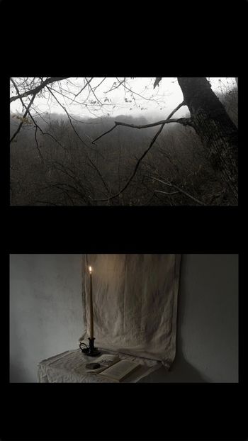Act ᴵᴵ - Collection of Tintypes