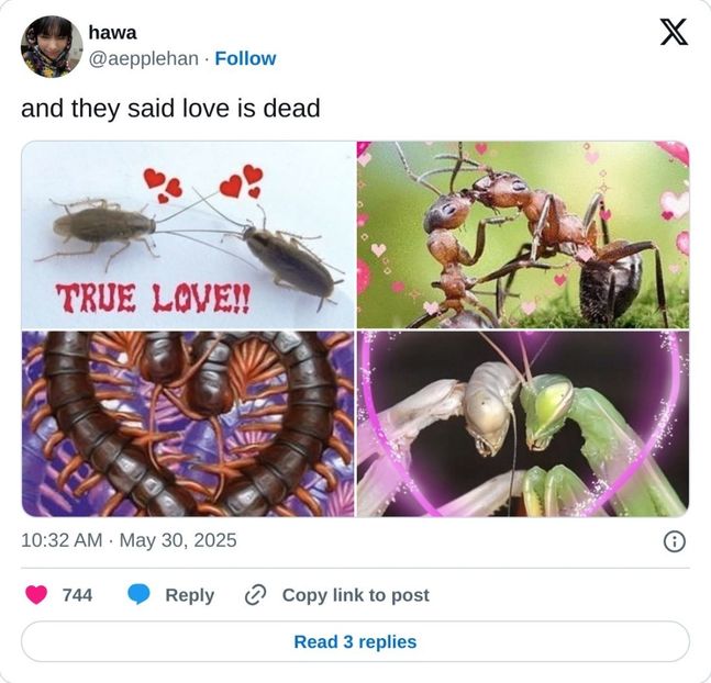 ❤️❤️❤️ - Collection of Tintypes